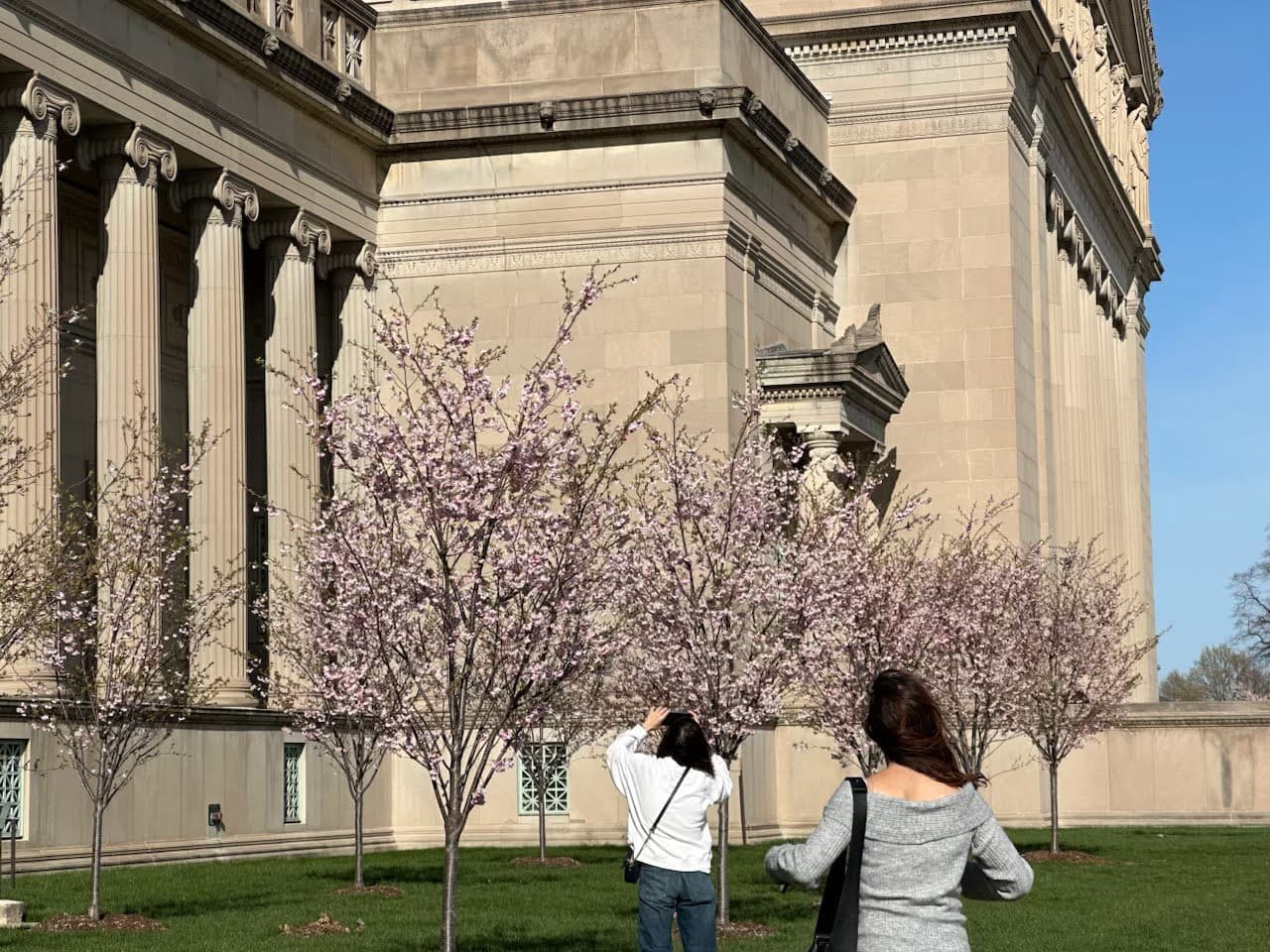 La floración completa dura de 3 a 8 días dependiendo del clima, así que si quieres ver este show natural, el mejor momento es ahora.
