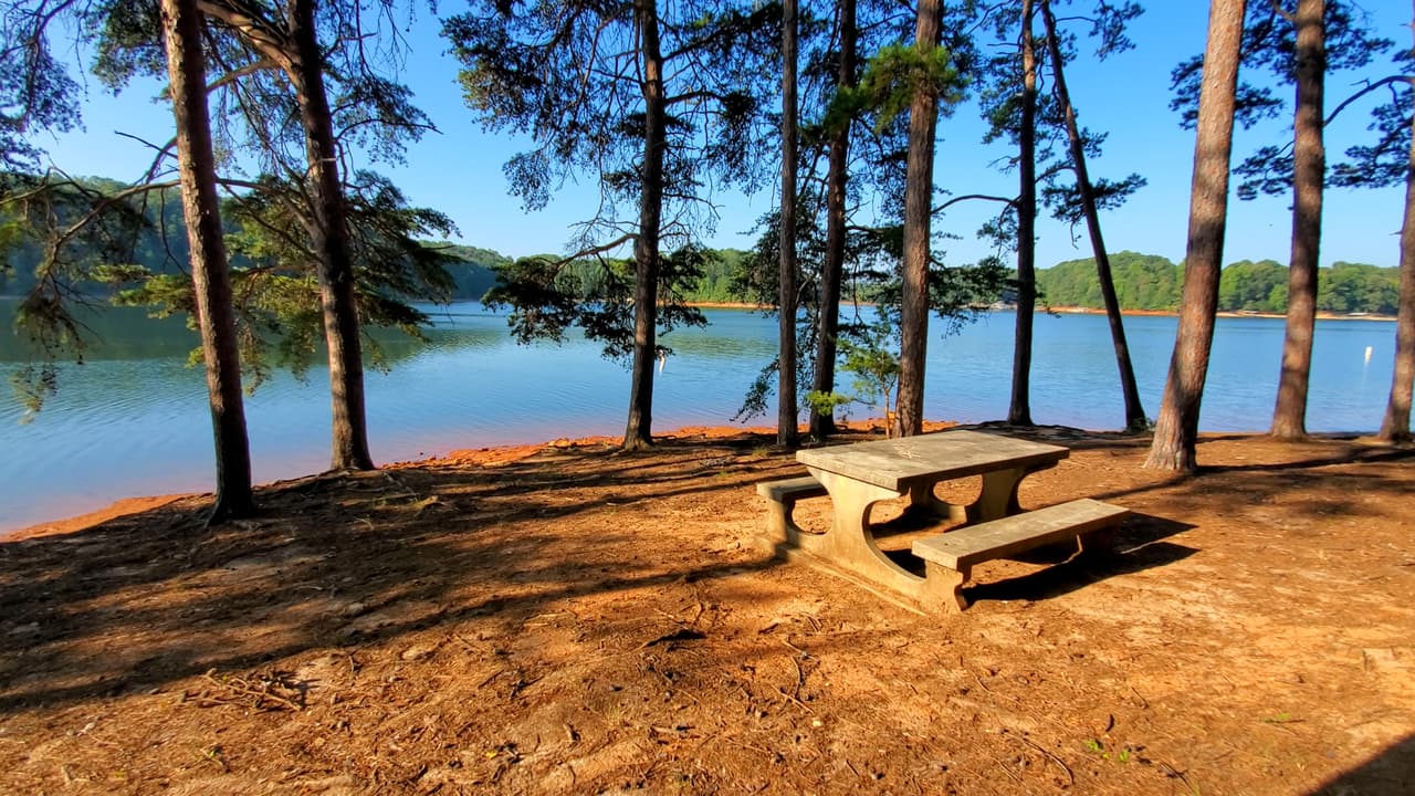 Sitios de picnic para pasar el día también abundan en la zona.