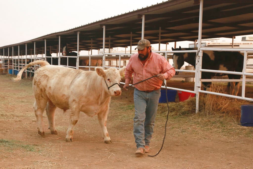 El rápido avance del fuego provocó órdenes de evacuación en numerosos puntos del estado,
<b> con miles de personas desplazadas</b>. Algunos ranchos se han convertido en 
<b>refugio del ganado</b> amenazado.