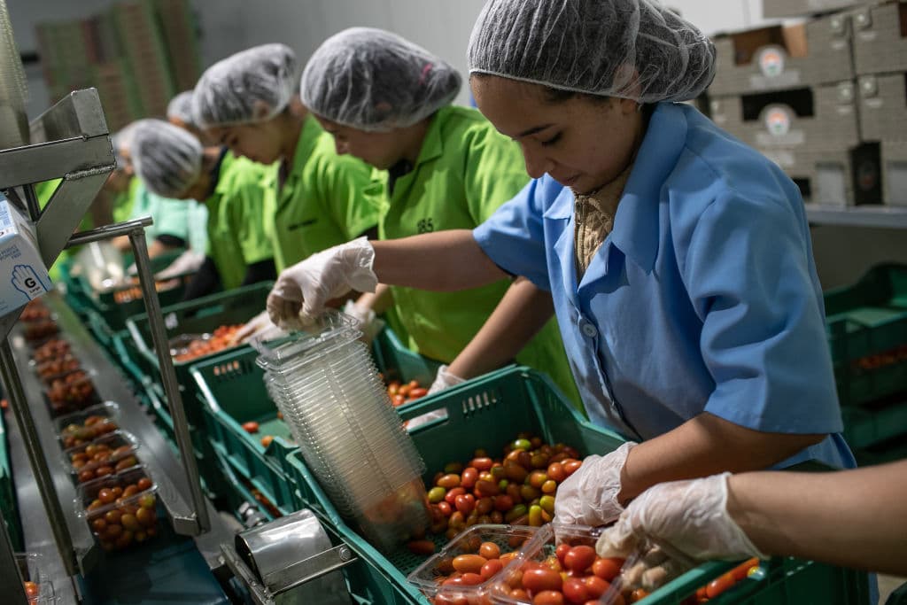 Te explicamos qué significa el nuevo acuerdo sobre los tomates mexicanos, especialmente para los orgánicos