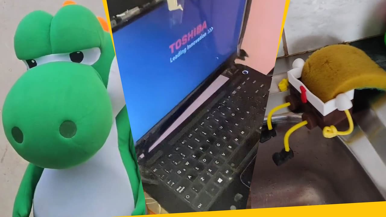 "Estoy cansado, jefe": Gente se rehúsa a tirar sus cosas viejas en trend de TikTok, pero ya dan pena