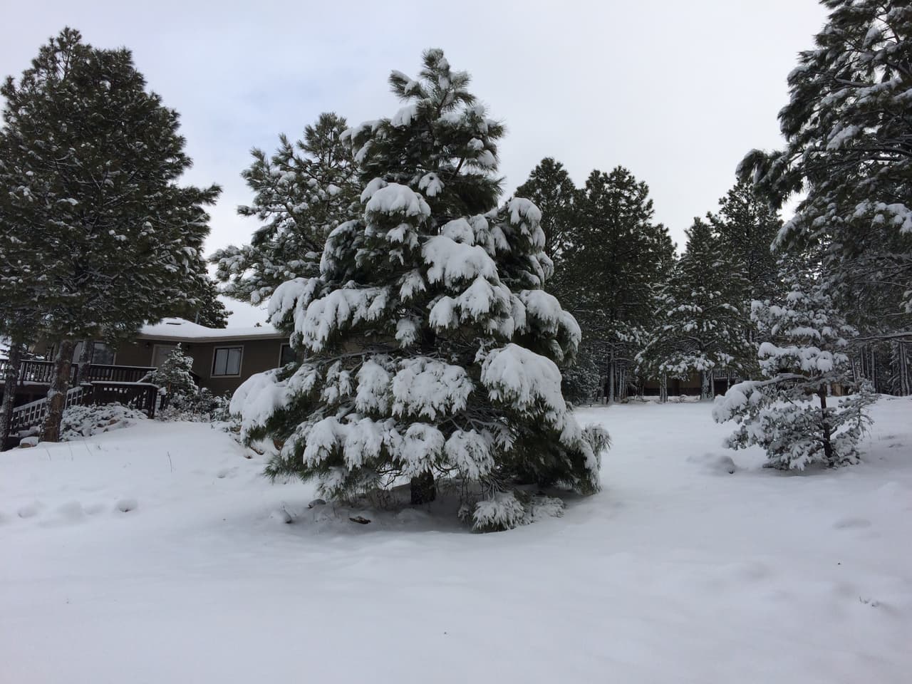 La nieve que cubre Flagstaff trae una ola de frio en el estado