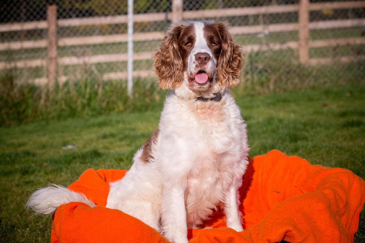 Al ver su estado emocional, miembros del staff decidieron darle muchísima más atención.