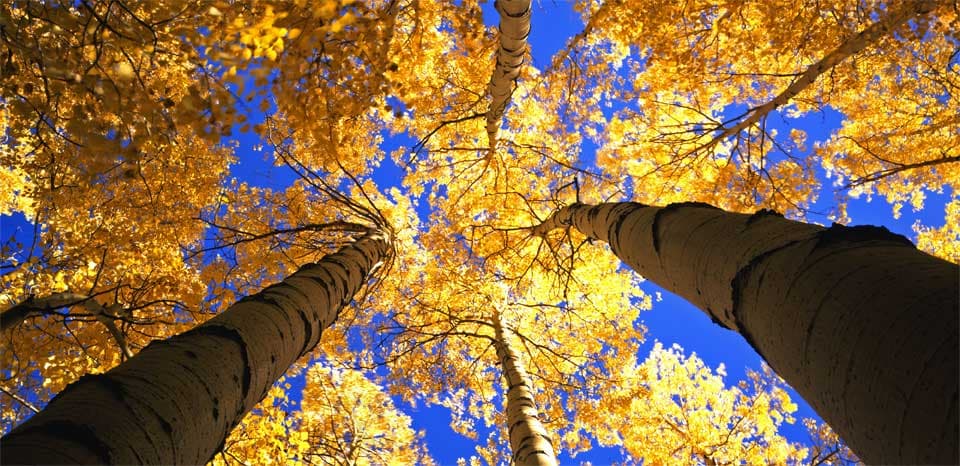 El Parque Rocky Mountain es un sitio que ofrece a los visitantes oportunidades para retar su cuerpo y apaciguar su espíritu. 
<a href="https://www.nps.gov/romo/espanol/index.htm"><u>https://www.nps.gov/romo/espanol/index.htm</u></a>