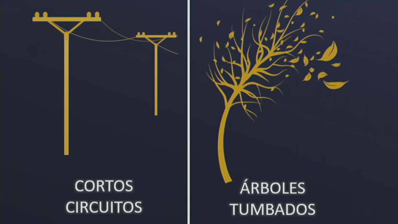 No te confíes: puede haber apagones provocados por los fuertes vientos