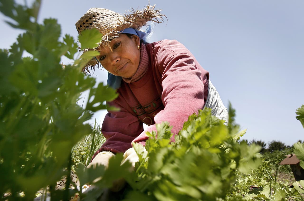 Honor Workers by Committing to Build Back Better