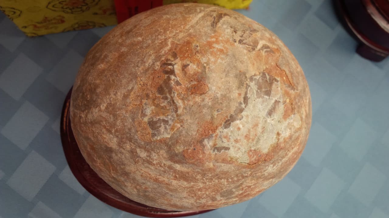 Los huevos de dinosaurios eran vendidos ilegalmente por 450 dólares cada uno, mientras que el fósil de un Psittacosaurus tenía un precio de 15,000 dólares.