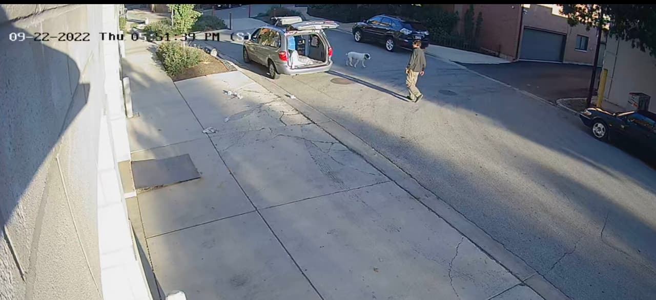 Arrestan otra vez a José Cartagena, hombre de Indiana acusado de maltratar a un perro en Lincoln Park