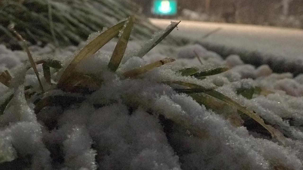 Este martes la nieve llegó a varios lugares de Texas y las personas compartieron sus videos con Univision 23. Nuestra meteoróloga Nelly Carreño nos adelantó lo que iba a suceder, su pronóstico se convirtió en curiosas imágenes de sitios cubiertos de blanco. No se reportan mayores acumulaciones, se trata de una nieve espesa y húmeda. Recuerda manejar con cuidado en este tipo de condiciones.