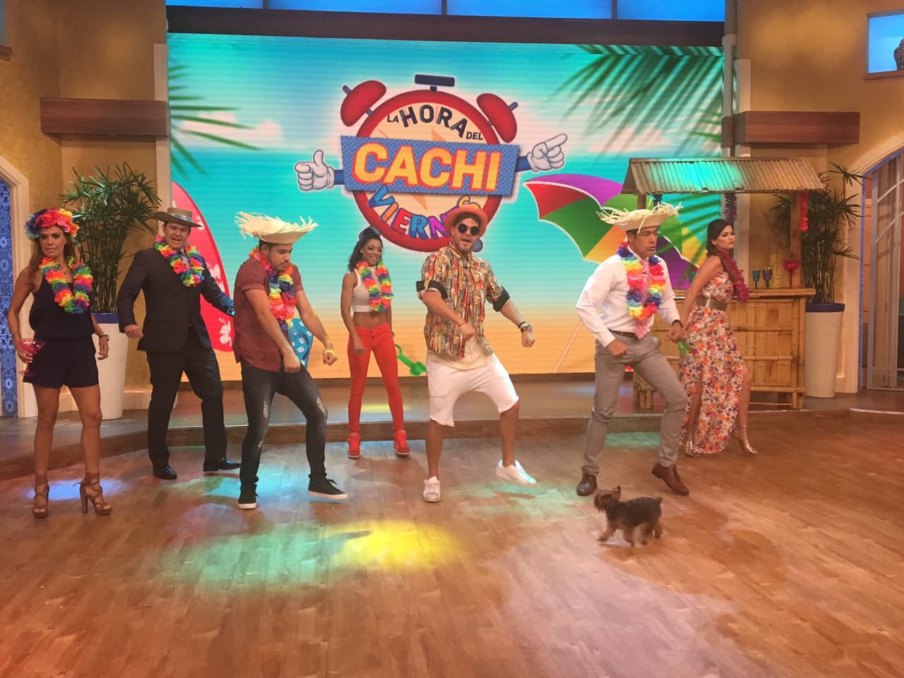 El pequeño Tobi también quería participar.