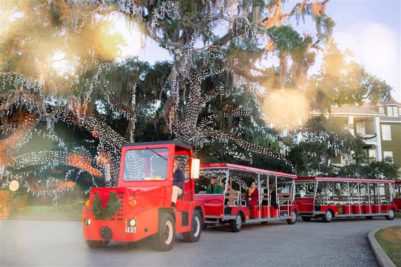 La isla alberga más de un millón de luces durante la temporada de Holly Jolly Jekyll. Solo el Gran Árbol tiene más de 35,000, que es más por pie cuadrado que el árbol de Navidad del Rockefeller Center de Nueva York, según sus organizadores.
