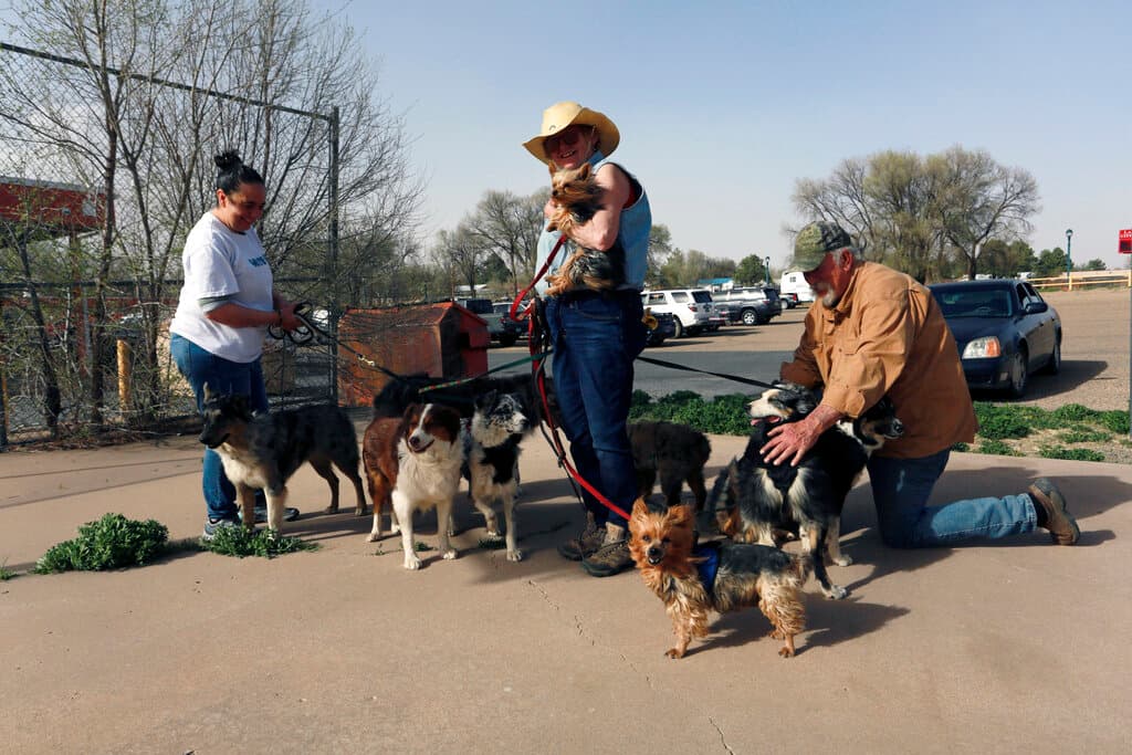 María Elena Valdez, a la izquierda, una voluntaria en un refugio de evacuación del fuego en el noreste de Nuevo México, ayuda a Maggie Mulligan, centro, y Brad Gombas a pasear y dar de beber a nueve de sus perros fuera del refugio, en Las Vegas, Nuevo México. Mulligan y Gombas, de la zona rural de Ledoux, huyeron de su rancho y tuvieron que dejar sus caballos atrás; no están seguros de cuándo podrán volver. Mulligan, criador de perros, llevaba cinco cachorros en la parte trasera de su todoterreno.