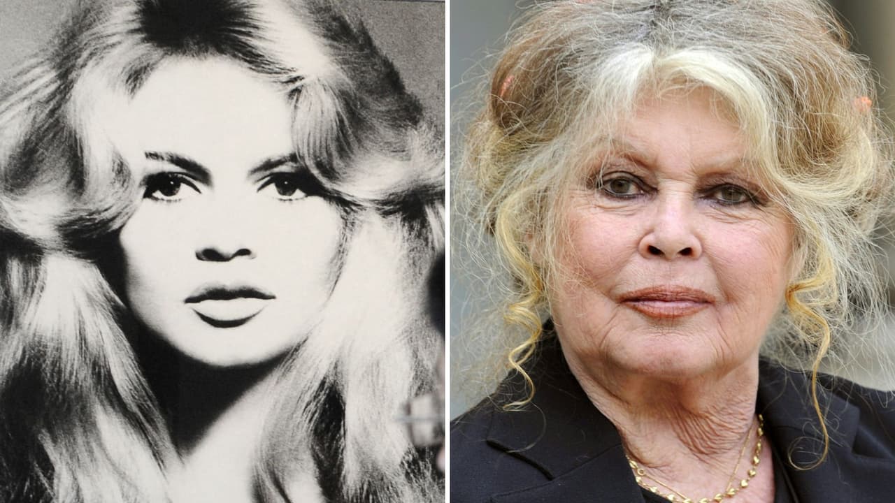 Actriz Brigitte Bardot es operada por grave enfermedad: este es su estado de salud