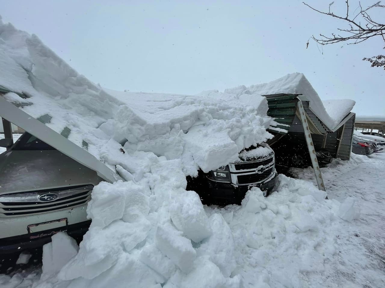 Exceso de nieve derrumba techo sobre autos: este sencillo consejo evitará accidentes