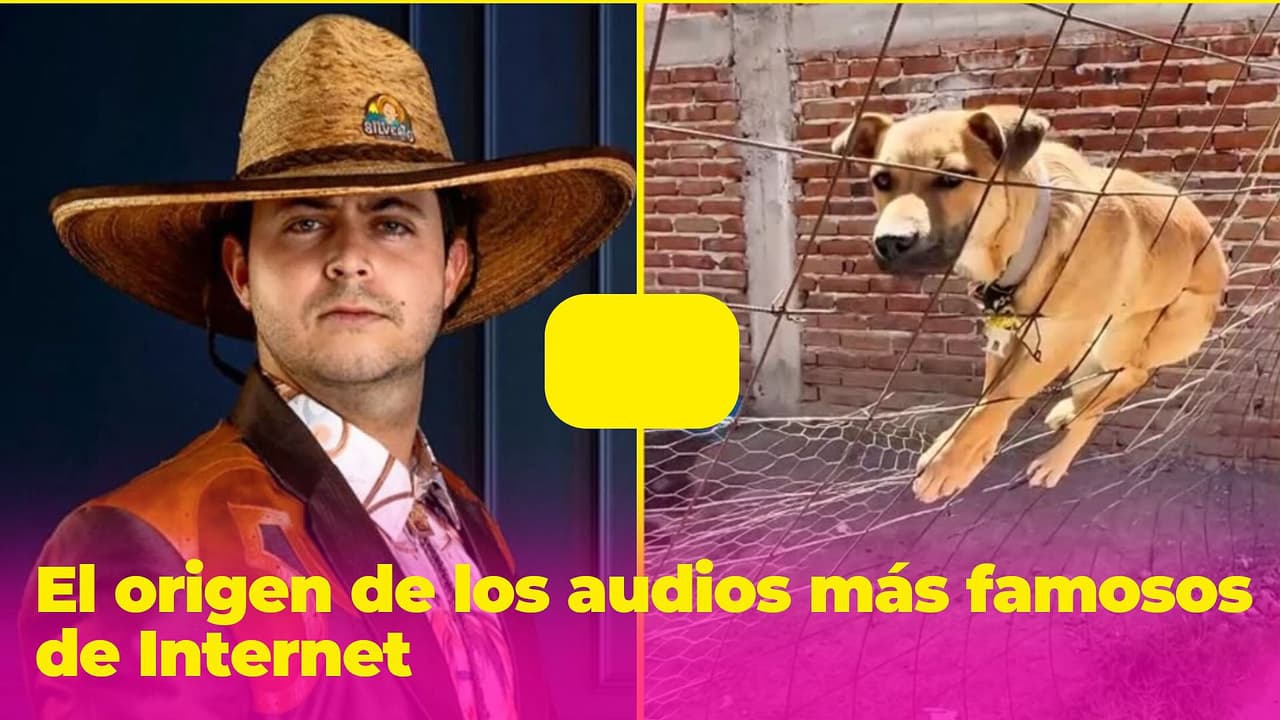 ¿De dónde salieron los audios y sonidos más famosos de Internet? Conoce su origen
