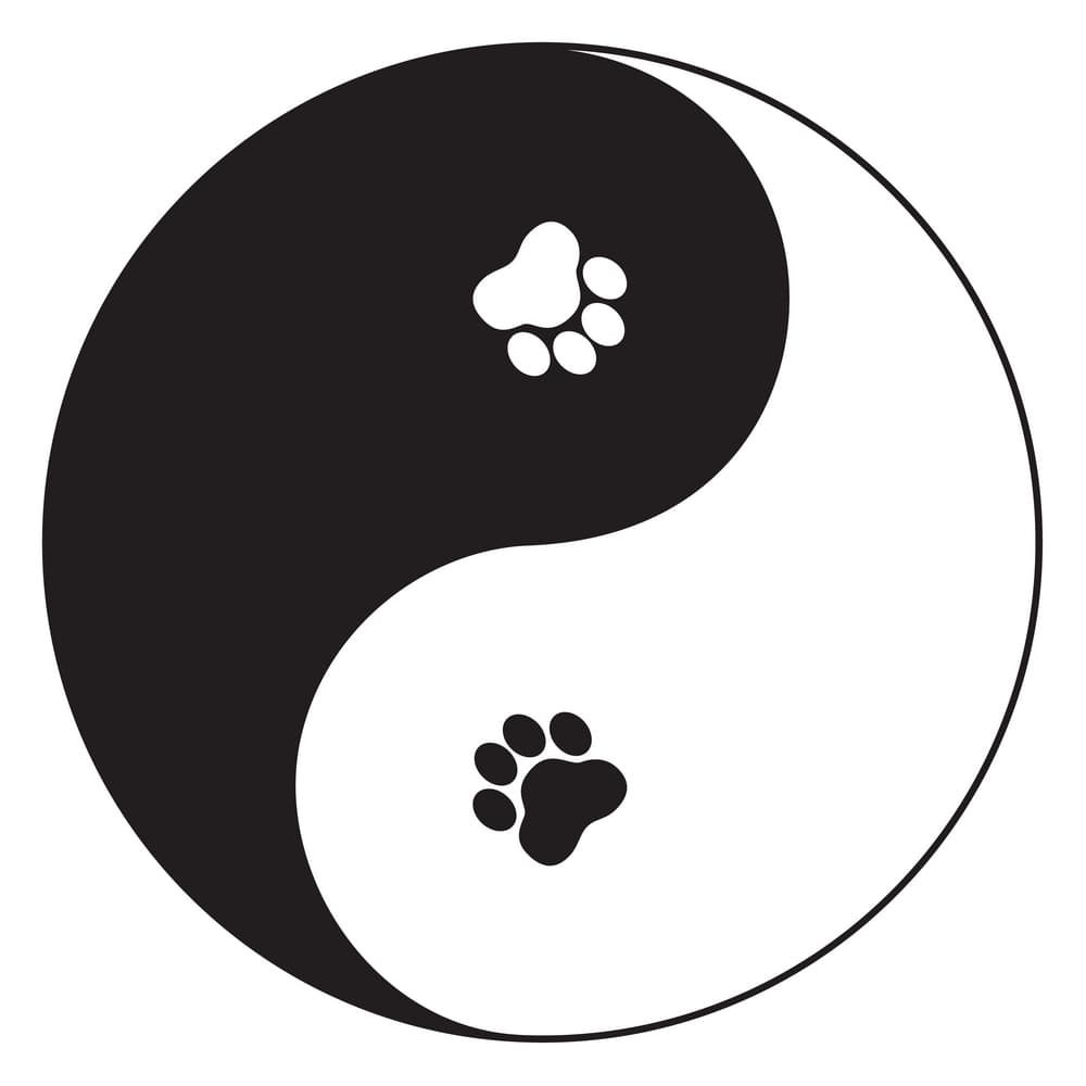 El mes del perro se considera un signo yang, de polaridad positiva. Su nombre en el idioma chino es “Gǒu” (狗) y se extiende desde el 23/24 de septiembre hasta el 22/23 de octubre –según tu latitud y longitud geográficas - y coincide con el signo zodiacal Libra, aunque no necesariamente implica que todos los nativos del signo Libra sean del signo del perro aunque podría ser así si coincidieren la fecha y año de nacimiento, como puedes ver en la sección del horóscopo chino de la página de Univision Horóscopos.
<br>