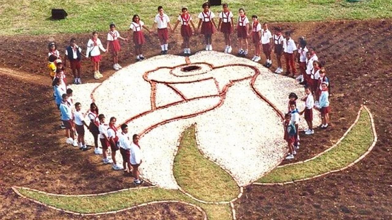 La Rosa Blanca. La Habana, Cuba, 2001.