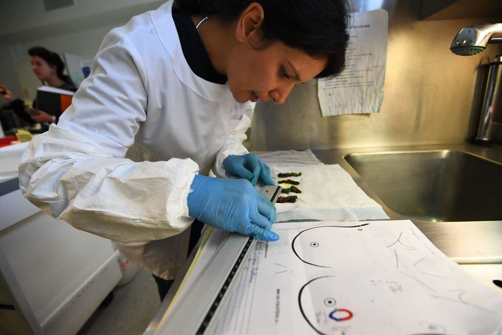 Detección temprana del cáncer de seno aumenta la posibilidad de cura y supervivencia