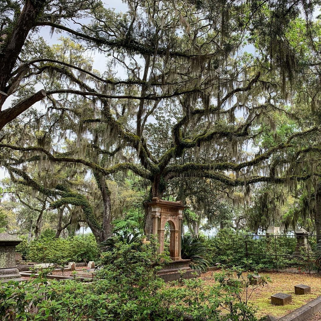 Conoce más sobre la historia de Savannah, 
<b><a href="https://visitsavannah.com/list/the-6-most-haunted-places-savannah-that-you-can-actually-visit">aquí</a></b>.