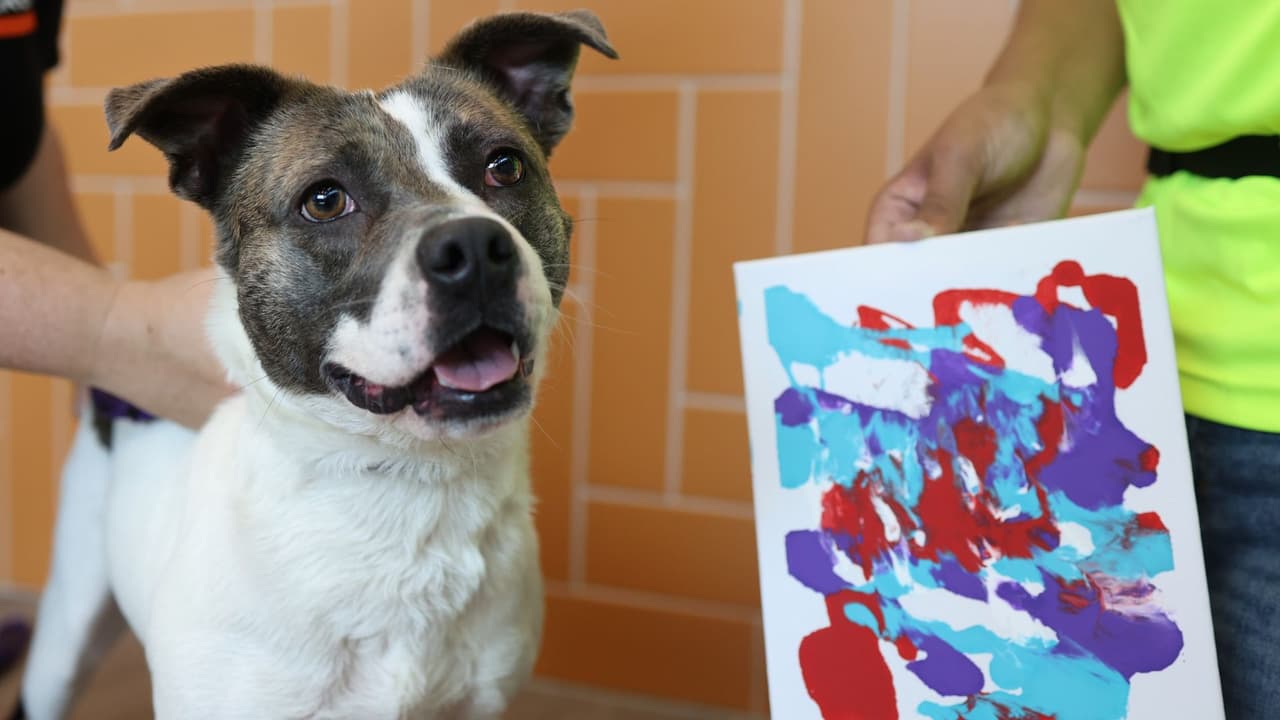 Skadi posa muy feliz con la pieza que logró en colores azul, morado y rojo.