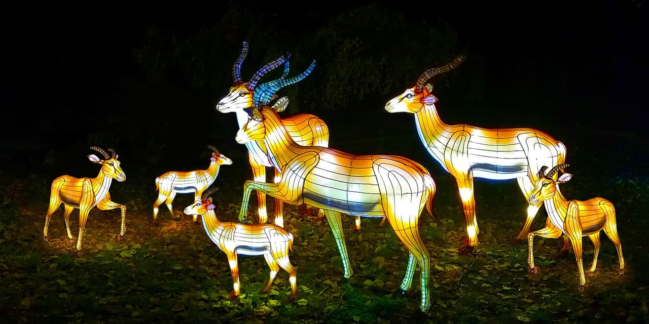 Caminos del jardín son decorados con una serie de linternas que forman figuras de animales y flores exóticas