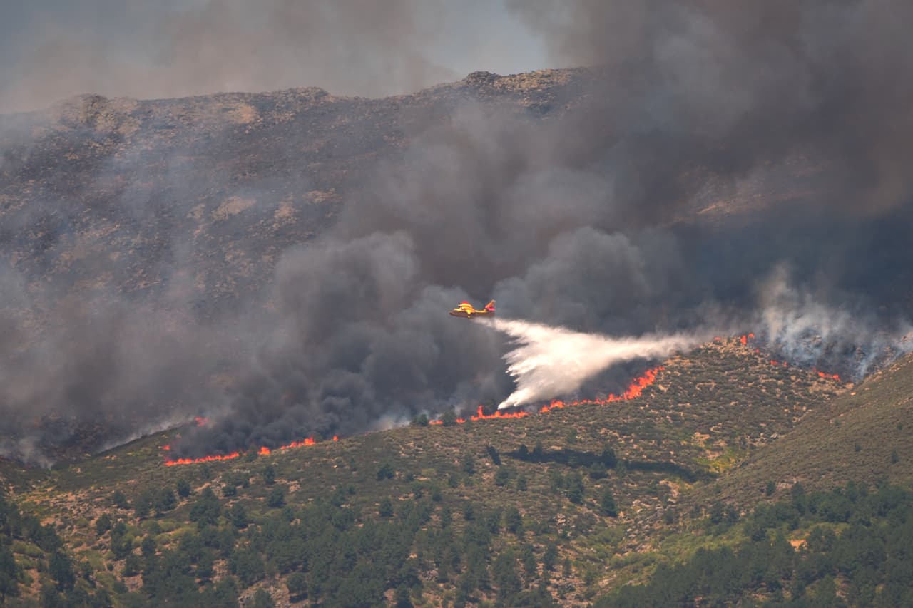 El foco más devastador se localiza a las puertas de Burdeos, donde las llamas han devorado 42,000 hectáreas. El incendio ha sido catalogado como un fenómeno inédito de "tormenta de fuego", capaz de generar sus propias corrientes de viento, intensificar el avance de las llamas y complicar las estrategias de los equipos de emergencia que trabajan para contenerlo.
<br>