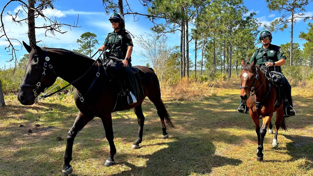 Búsqueda de Madeline Soto.