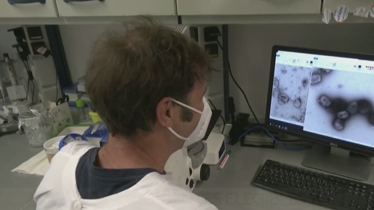 Preocupación por viruela del mono se suma a la de covid-19 en Montgomery