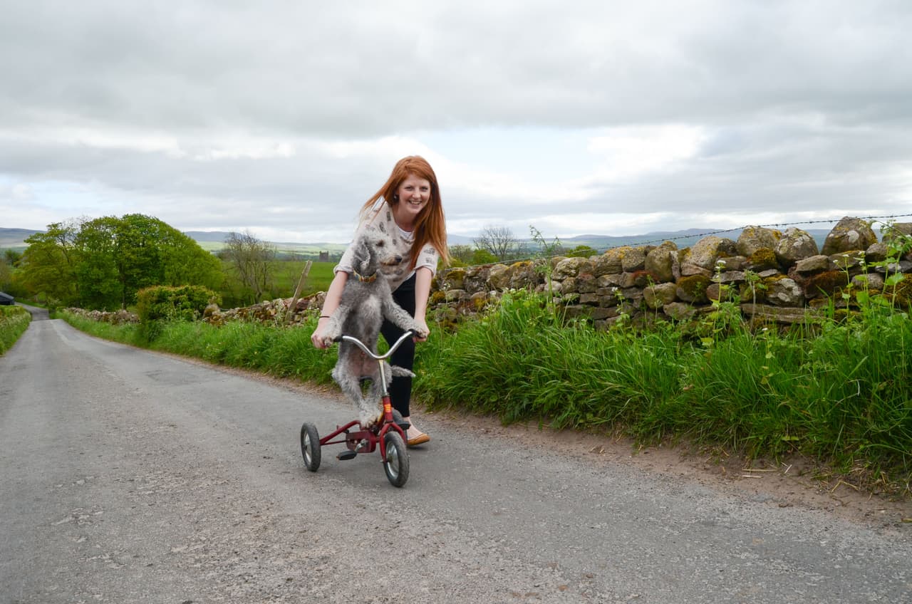 Jugaban a subir al cachorro y empujarlo lentamente.