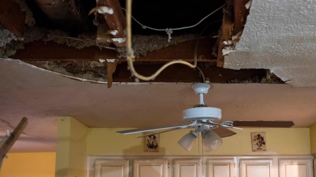 Las autoridades advierten de estafadores que pueden aprovecharse al reparar sus hogares tras la tormenta invernal 