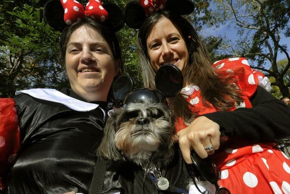 Los dueños también aprovecharon para adelantar sus disfraces de día de brujas.