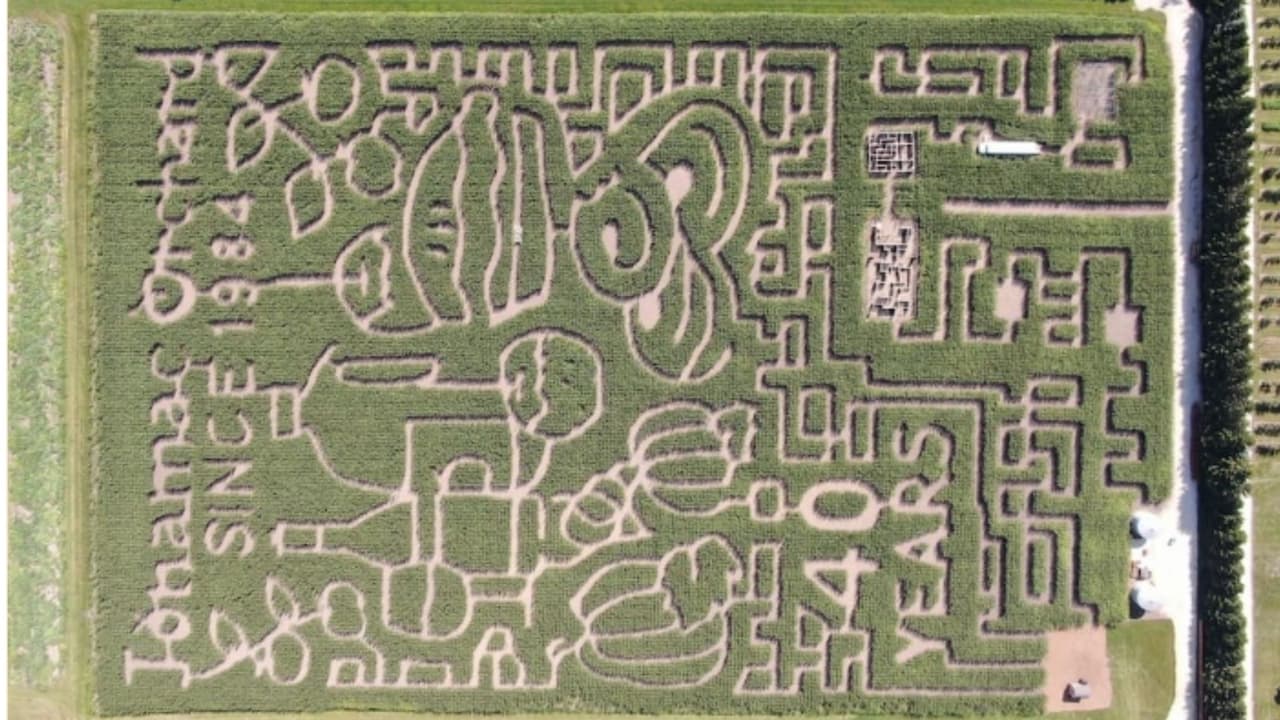 <a href="https://jonamacorchard.com/" target="_blank">Jonamac Orchad</a> está ubicado en Malta, Illinois. Además del laberinto, puedes recoger manzanas, hacer burbujas de jabón, y hasta hay para actividades para quienes aman el terror.