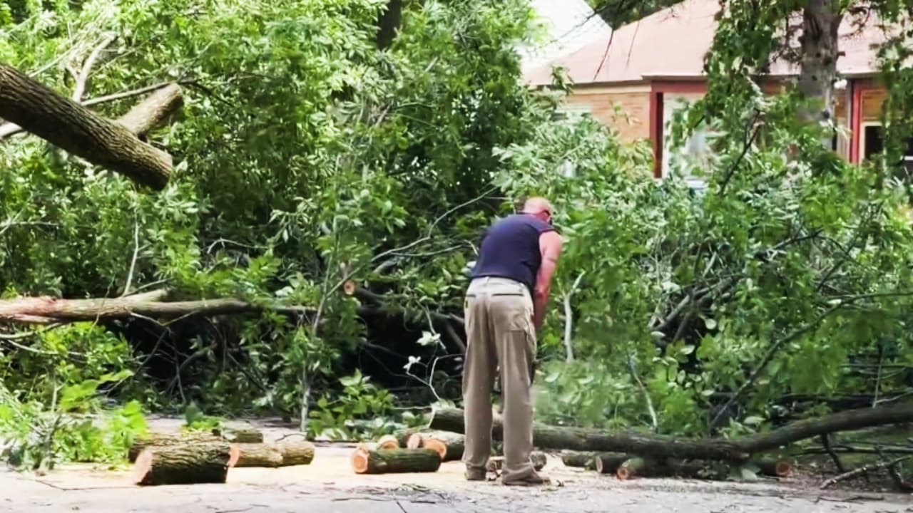 Árboles caídos y apagones: los estragos de las tormentas en suburbios al oeste de Chicago