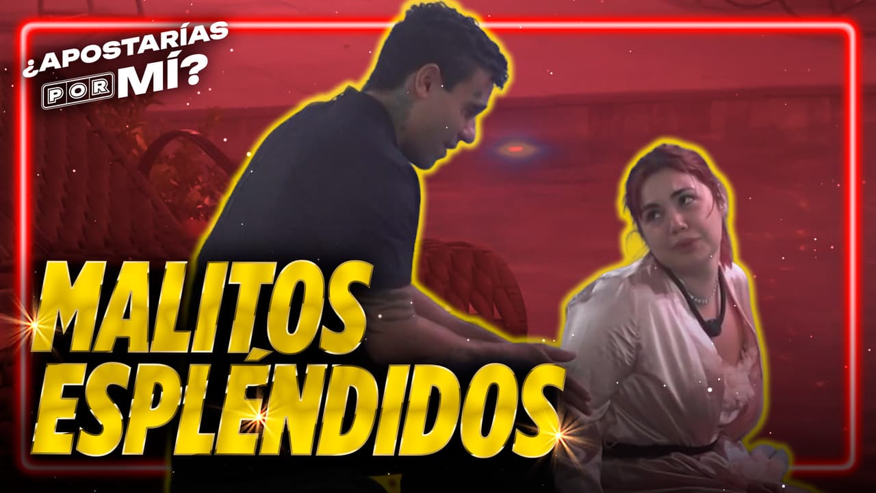 Laysha promete regalar dinero en caso de ganar ¿Apostarías por mí?