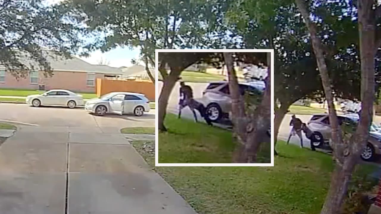 Sospechoso persigue a una mujer del banco a su casa y la arrastra para robarle el dinero: todo queda en video