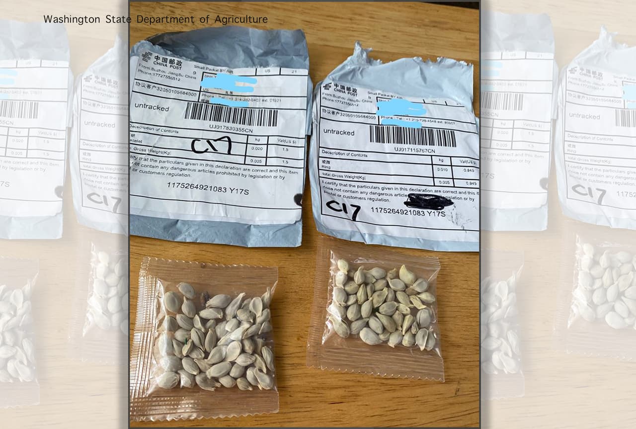 "En este momento, no estamos seguros de cuáles son las semillas y, por lo tanto, instamos a todos a estar extremadamente atentos", dijo vocero del Departamento de Agricultura de Georgia.