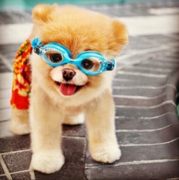 ¡Listo para la alberca!