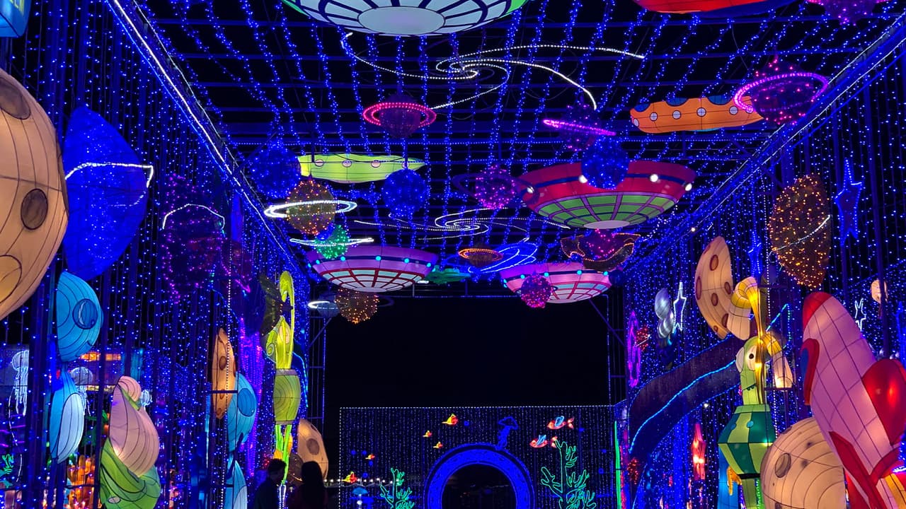 Echa un vistazo a los misterios del océano en la sección The Sea donde disfrutarás del paraíso submarino.