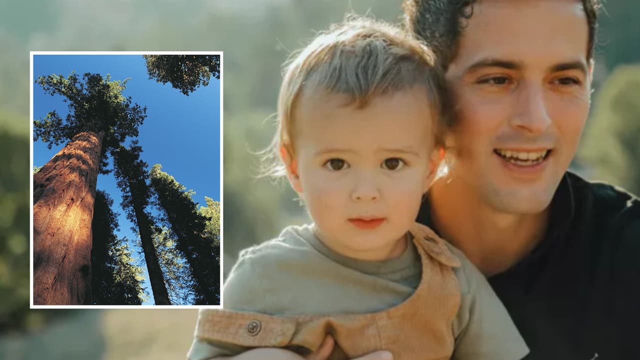 Él es el bebé que murió aplastado por un árbol durante la tormenta en el condado de Sonoma