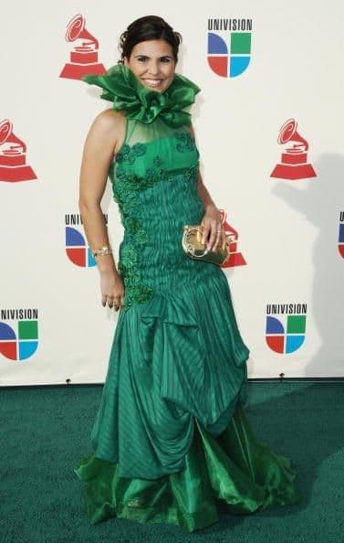 Los fashionistas tuvieron mucho de qué hablar con el atuendo de algunas de las estrellas invitadas a los Latin GRAMMY. Los artistas no sólo dejan volar su creatividad para componer canciones sino también para vestirse. Desafortunadamente no se escaparon de caer en la lista de los peor vestidos.