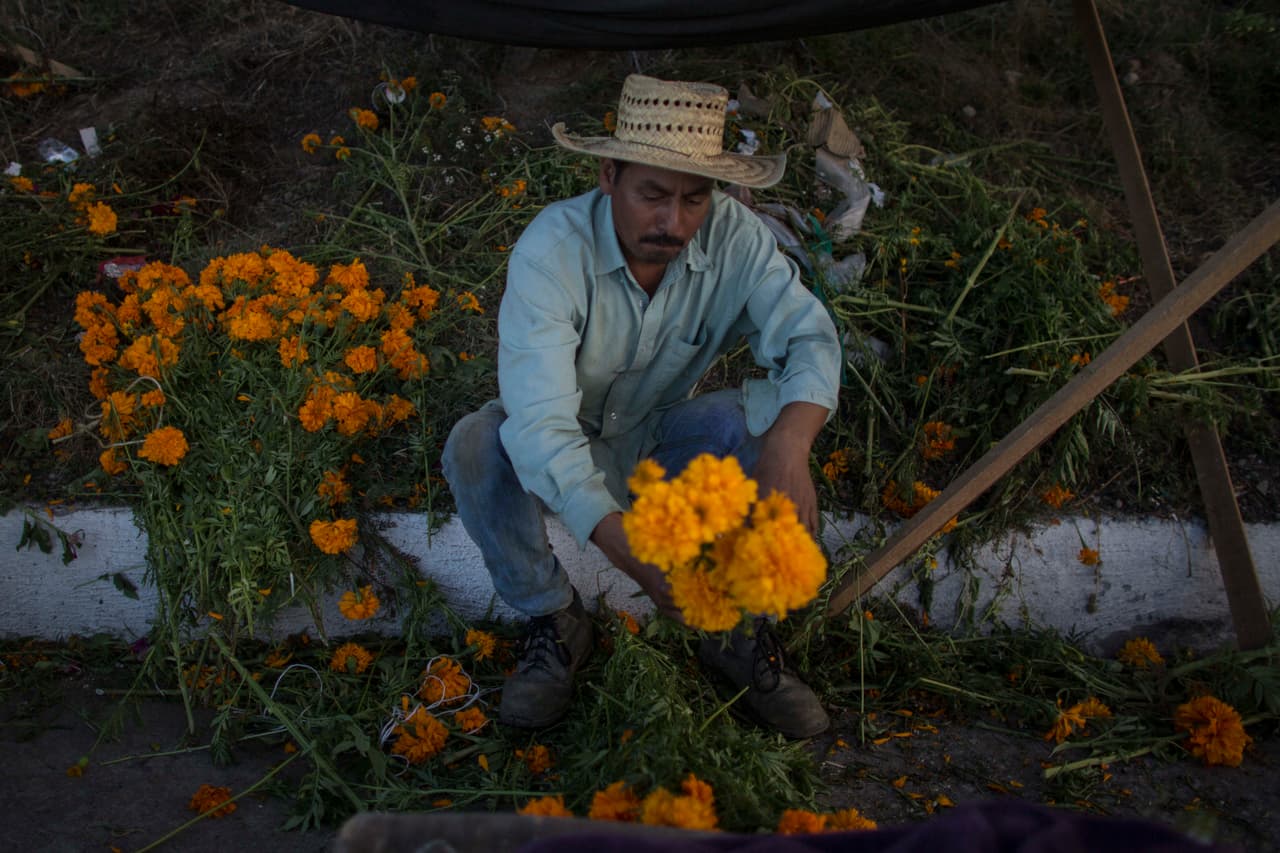El uso del cempasúchil se remonta a tiempos prehispánicos, en varias culturas. Por ejemplo, en el monolito de la diosa mexica Coyolxauhqui, hay representación de algunas flores en su tocado que se considera son una especie de esta tagetes erecta. También se han encontrado en otras obras de artes prehispánicas, como en jarrones encontrados en el Templo Mayor de los Aztecas en la Ciudad de México.