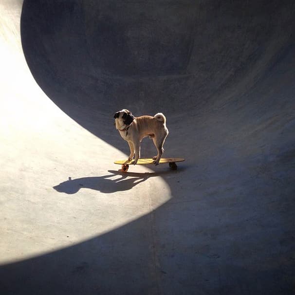 Aprender nuevos trucos en patineta es un reto muy divertido.