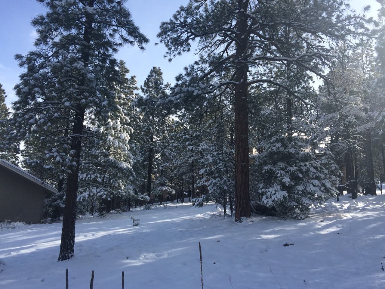 “El clima ventoso regresará el jueves antes del próximo sistema de tormentas. Algunas áreas podrían ver ráfagas de más de 40 mph”, alerta el Servicio Meteorológico Nacional de Flagstaff. 
<br>