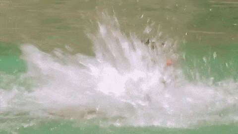 Ha hecho sus berrinches en las pistas de los cuatro elementos, aquí lo vemos golpeando el agua cuando perdió ante los 
<a href="https://www.univision.com/shows/reto-4-elementos/la-jarocha-y-monica-escobedo-quien-es-quien-fotos">Comediantes</a>.