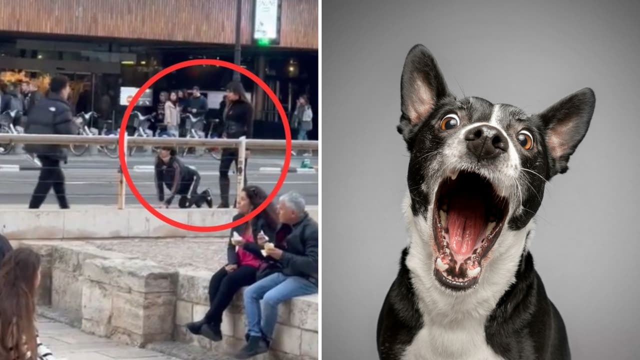 Captan a mujer ‘paseando’ a un hombre con correa de perro: él actúa como su mascota