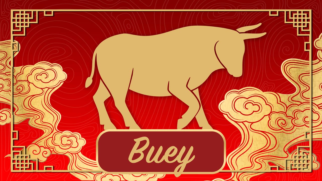 <u style="box-sizing: border-box;"><b><a href="https://www.univision.com/horoscopos/predicciones-2021/predicciones-para-el-buey-durante-el-ano-del-buey-en-el-horoscopo-chino-video" target="_blank">HORÓSCOPO DEL BUEY 2021</a></b></u>
<br>Tu ciclo en el Año del Buey será maravilloso, pues es tu signo. Este año, tu año, será muy satisfactorio en todos los sentidos, pero los peligros estarán en no saber apreciar tu tiempo a la hora de hacer planes. Muchas cosas se verían interrumpidos por cosas ajenas a tu voluntad.