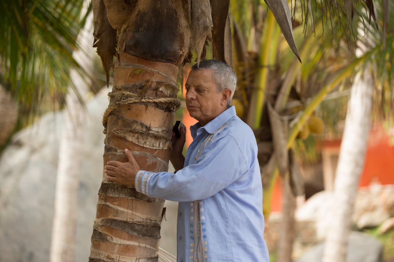 ¿Qué haces escondido por ahí Tito? Ya sabemos que pusiste una camarita en esa palmera.