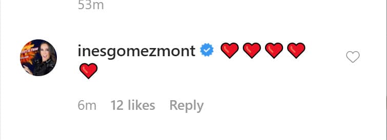 <b><a href="https://www.univision.com/famosos/asi-enfrentaron-los-hijos-de-ines-gomez-mont-un-duro-momento-con-el-pediatra-video" target="_blank">Inés Gómez Mont </a></b>tuvo el mismo gesto que su colega y respondió a la foto con una serie de emoticonos en forma de corazón. 
<br>