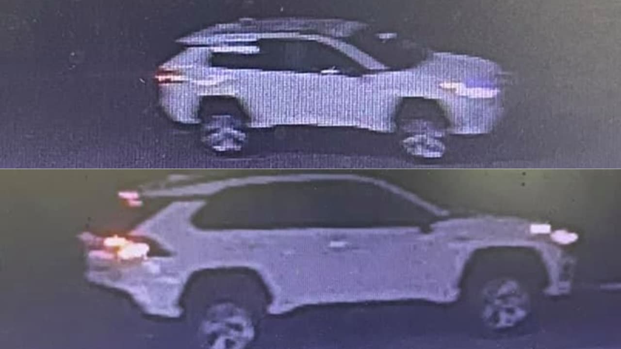 $10 mil por información que lleve a captura de responsable de atropellamiento mortal