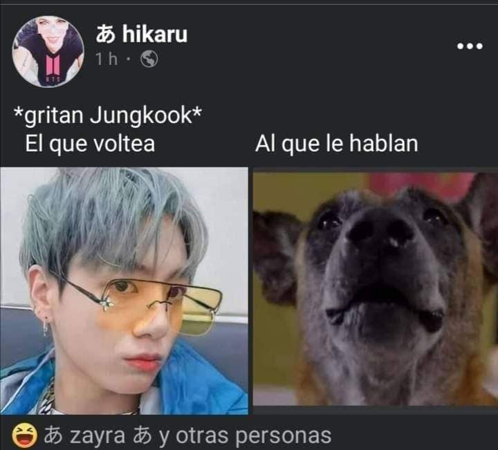 Lo único malo, fue que ahora le van a querer Jungkook a los perros, como pasó en el capítulo 1727 de La Rosa de Guadalupe